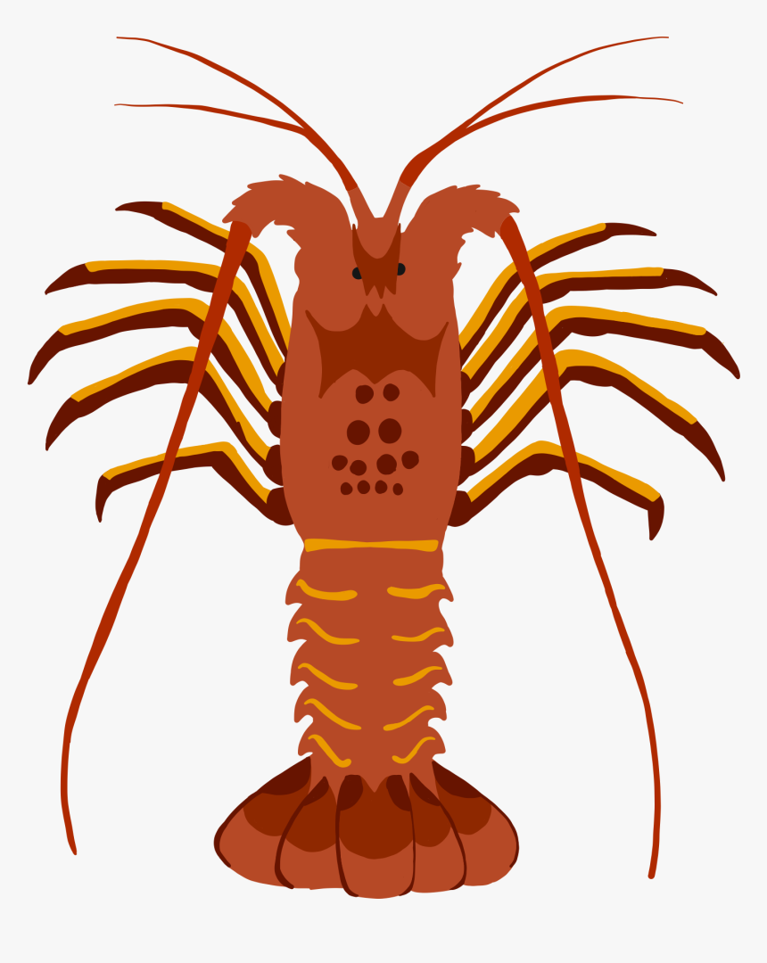 Lobster Clipart , Png Download - Spiny Lobster Graphic, Transparent Png, Free Download