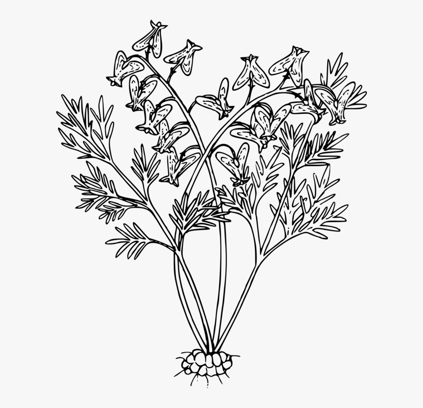 Line Art,plant,flora - Black Wild Flowers Png, Transparent Png, Free Download