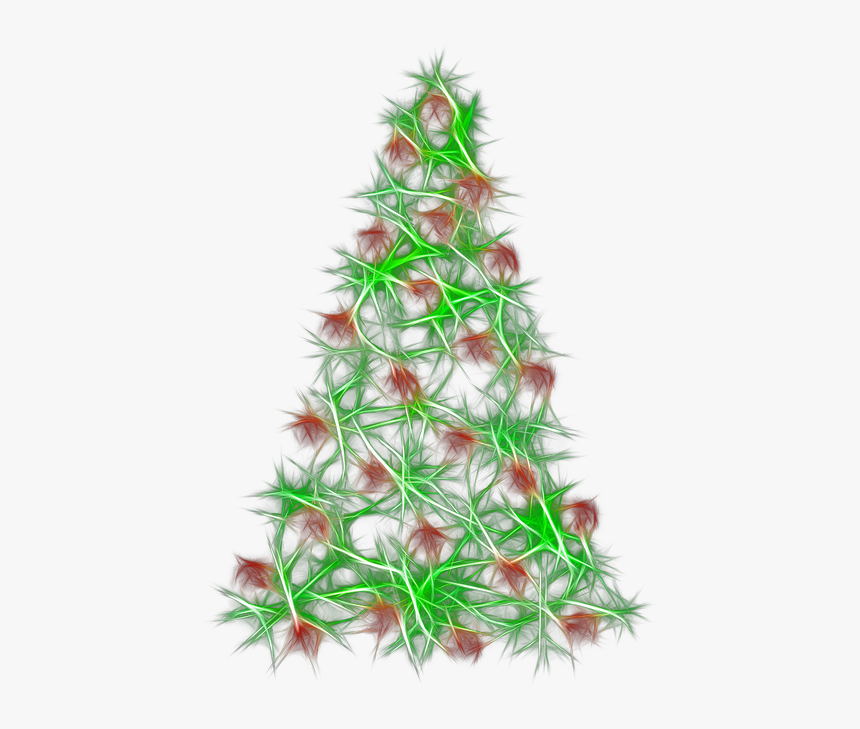 Pine Needles, Fir Tree, Branch, Wood, Star - Christmas Day, HD Png Download, Free Download
