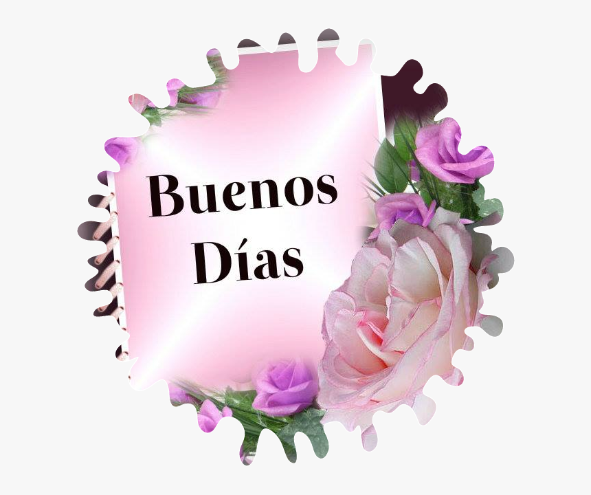 buenosdias stickers buenosdias