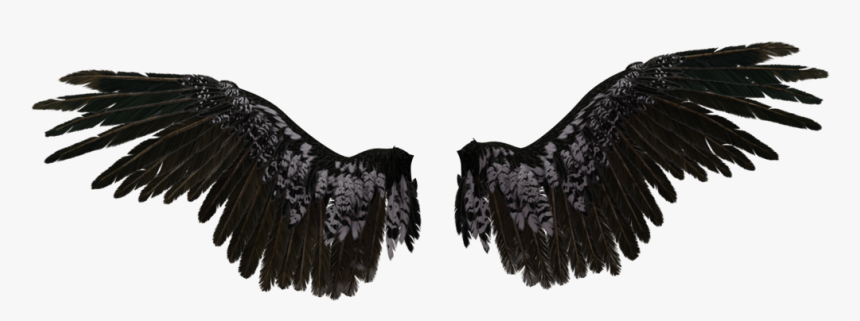 Black Angel Wings Transparent, HD Png Download, Free Download