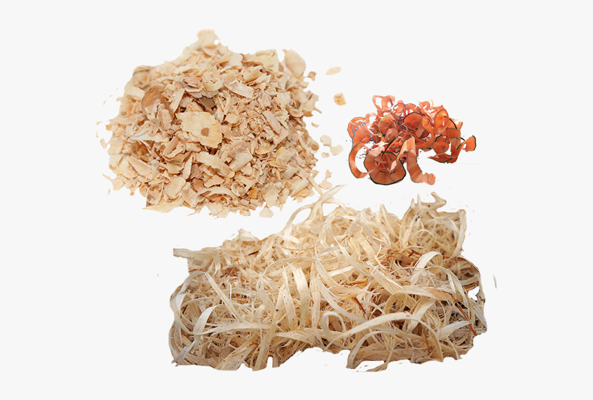 Wood Shavings Png, Transparent Png, Free Download