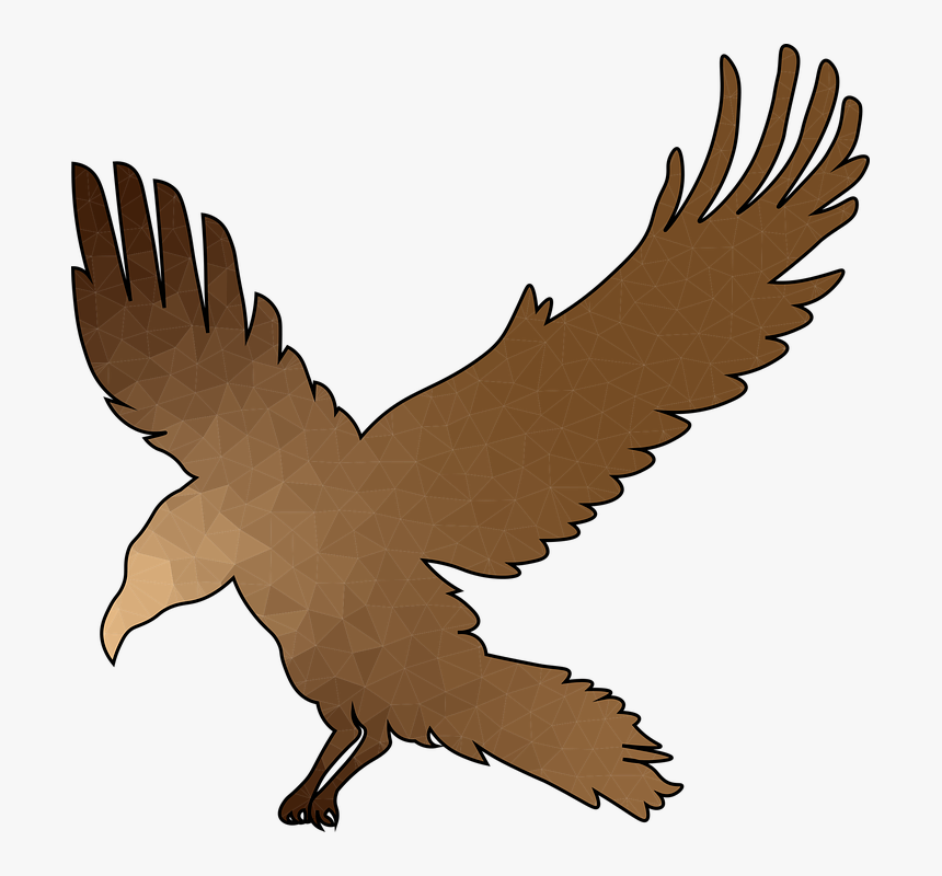 Crow, Flight, Bronze, Wings, Raven, Bird, Feather - Buzzard, HD Png Download, Free Download