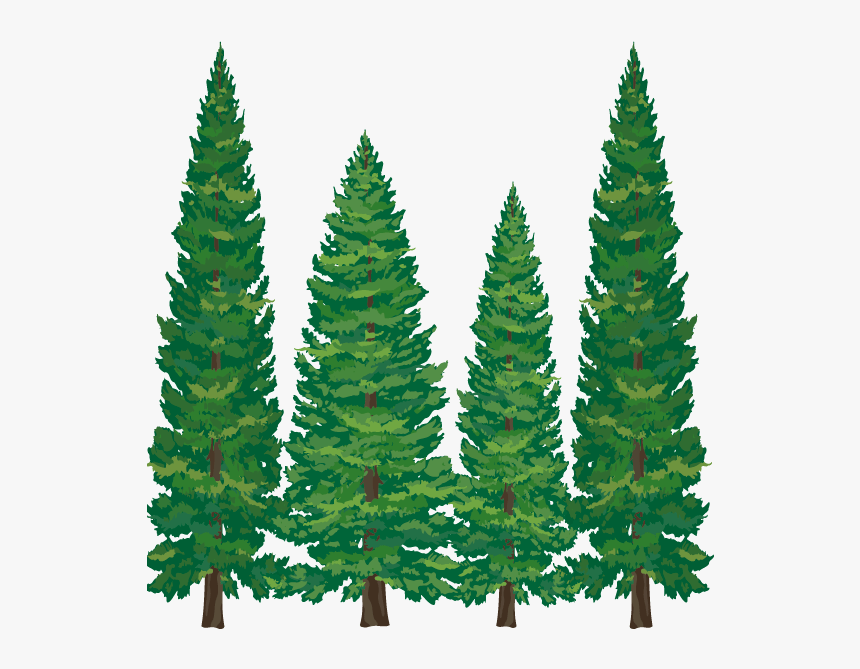 Pine Tree Clipart Softwood - Transparent Background Pine Trees Clipart, HD Png Download, Free Download