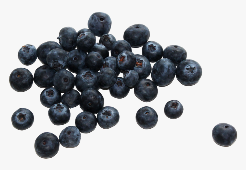 Download Berries Png Picture 049 - Blueberries Png, Transparent Png, Free Download