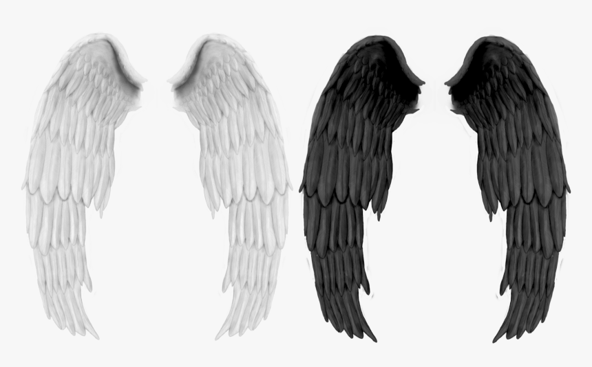 Black Wings Png Image - Dark Angel Black Wings, Transparent Png, Free Download