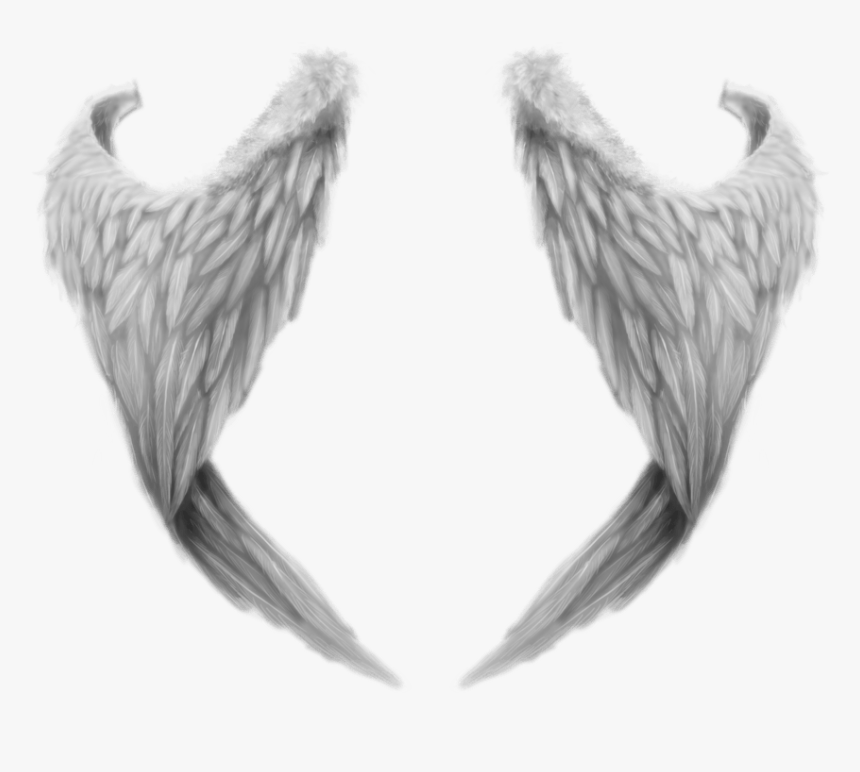 Fantasy Angel Wings - Realistic Angel Wings Png, Transparent Png, Free Download