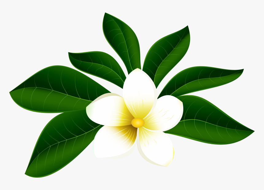 Tropical Exotic Flower Png Clip Art Imageu200b Gallery - Tropical Flowers Png, Transparent Png, Free Download