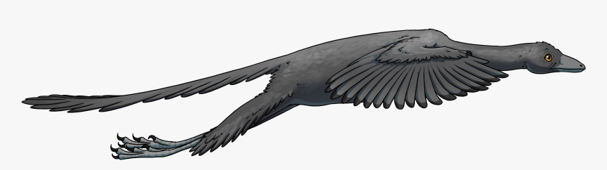 Archaeopteryx Flight, HD Png Download, Free Download