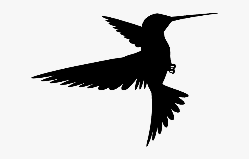 Raven - Silhouette Of A Bird Flying, HD Png Download, Free Download