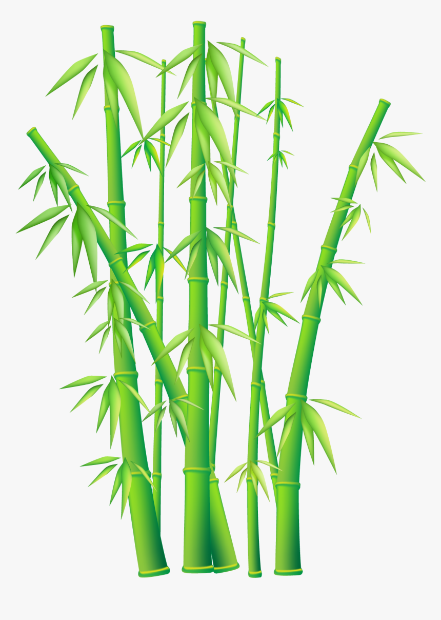 Bamboo Vector Free - Bamboo Png, Transparent Png, Free Download