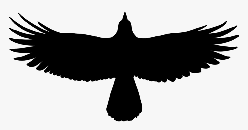 Eagle, HD Png Download, Free Download