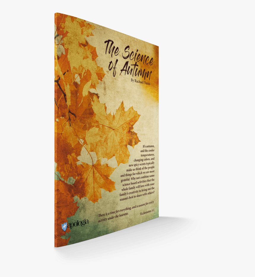 A Crystallized Autumn Wreath And A Creative Autumn - Autumn, HD Png Download, Free Download