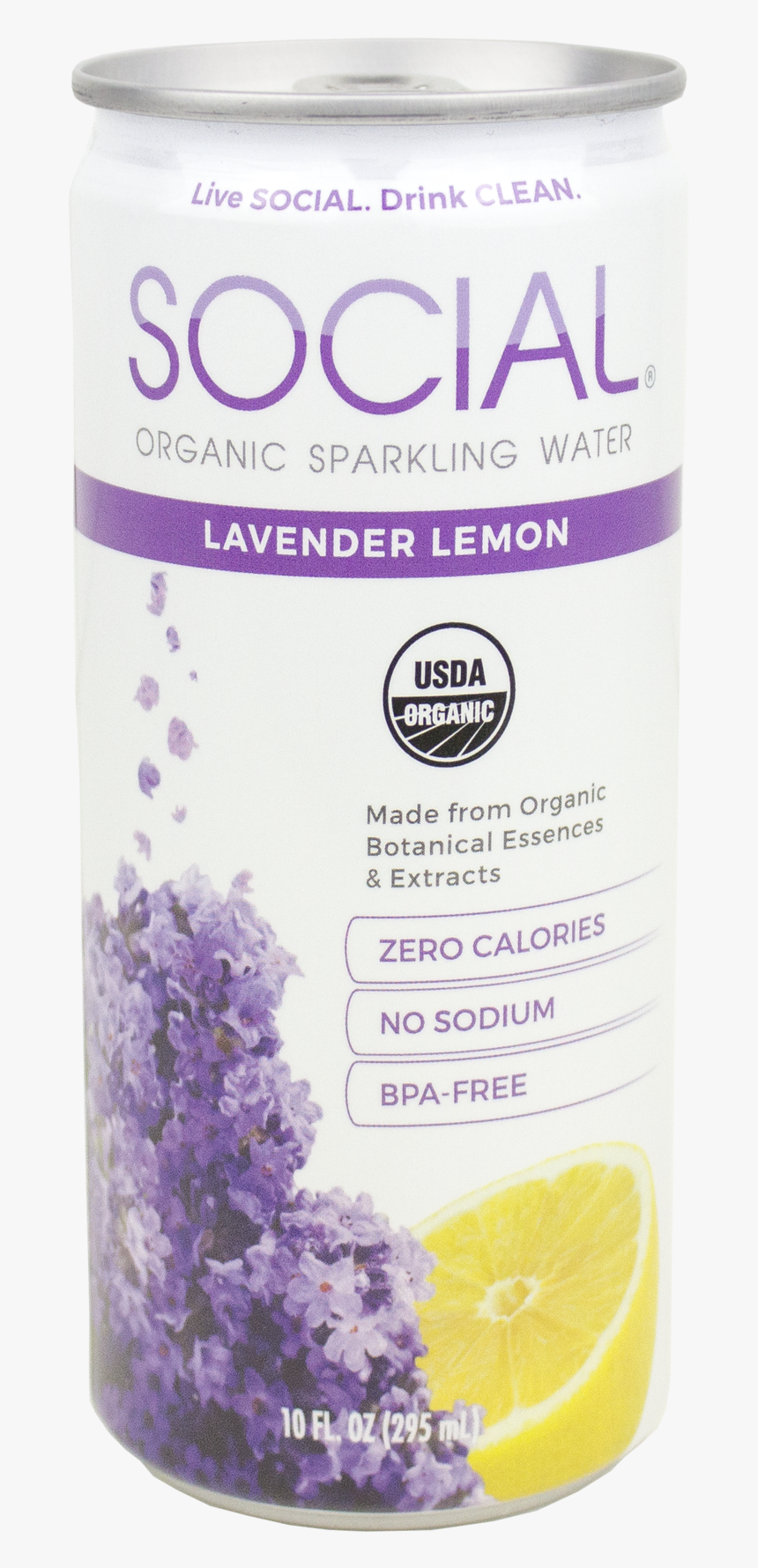 English Lavender, HD Png Download, Free Download