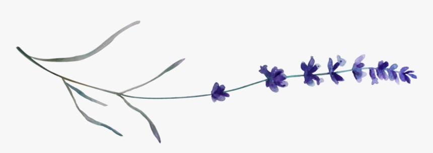 Lavenderstem - Artificial Flower, HD Png Download, Free Download