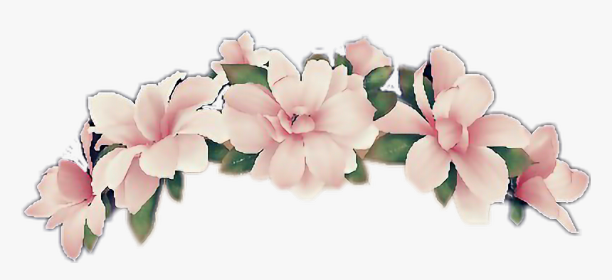 For Free Download - Transparent Background Flower Crown Clipart, HD Png Download, Free Download