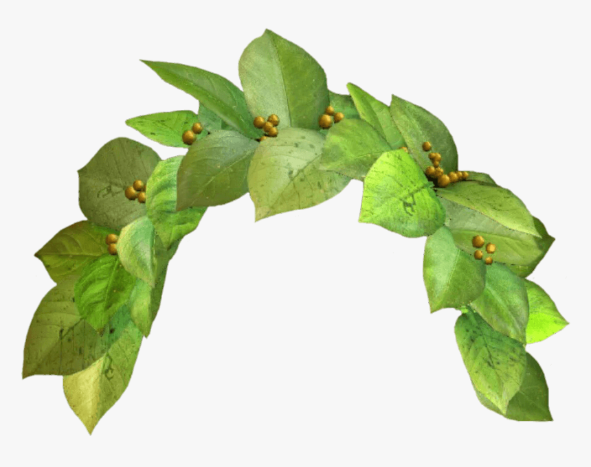 Transparent Leaf Crown Png - Green Flower Crown Transparent, Png Download, Free Download