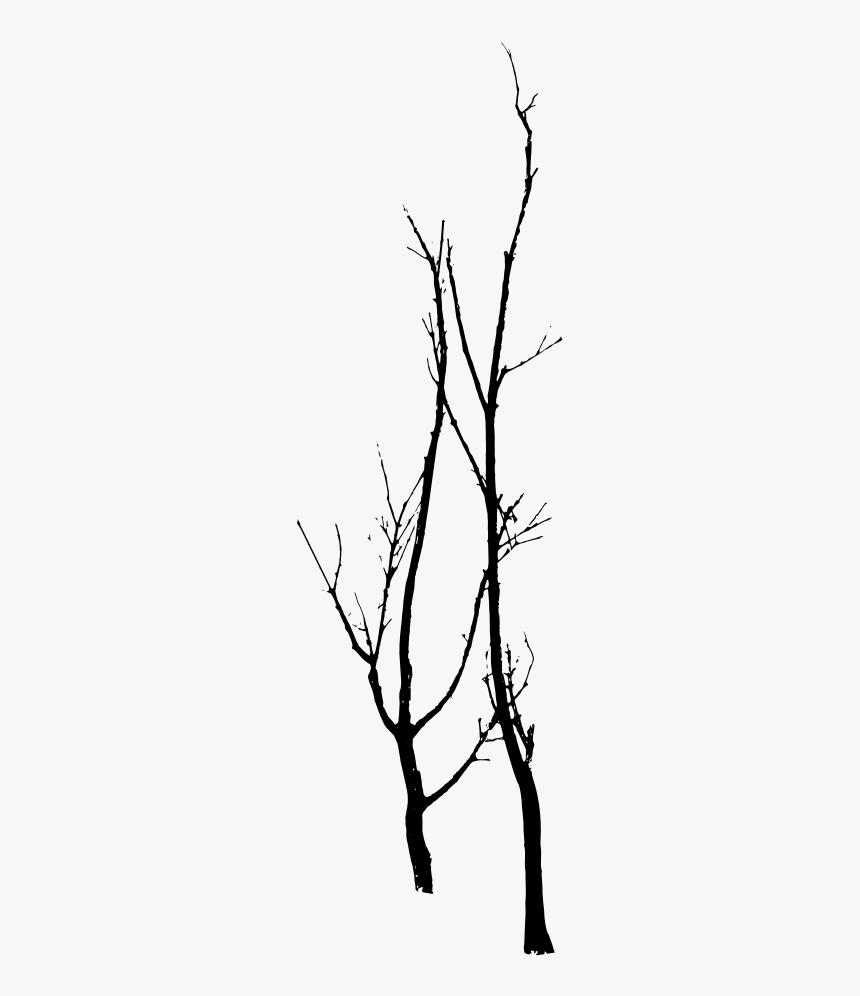 Dead Trees Vector - Tree, HD Png Download, Free Download