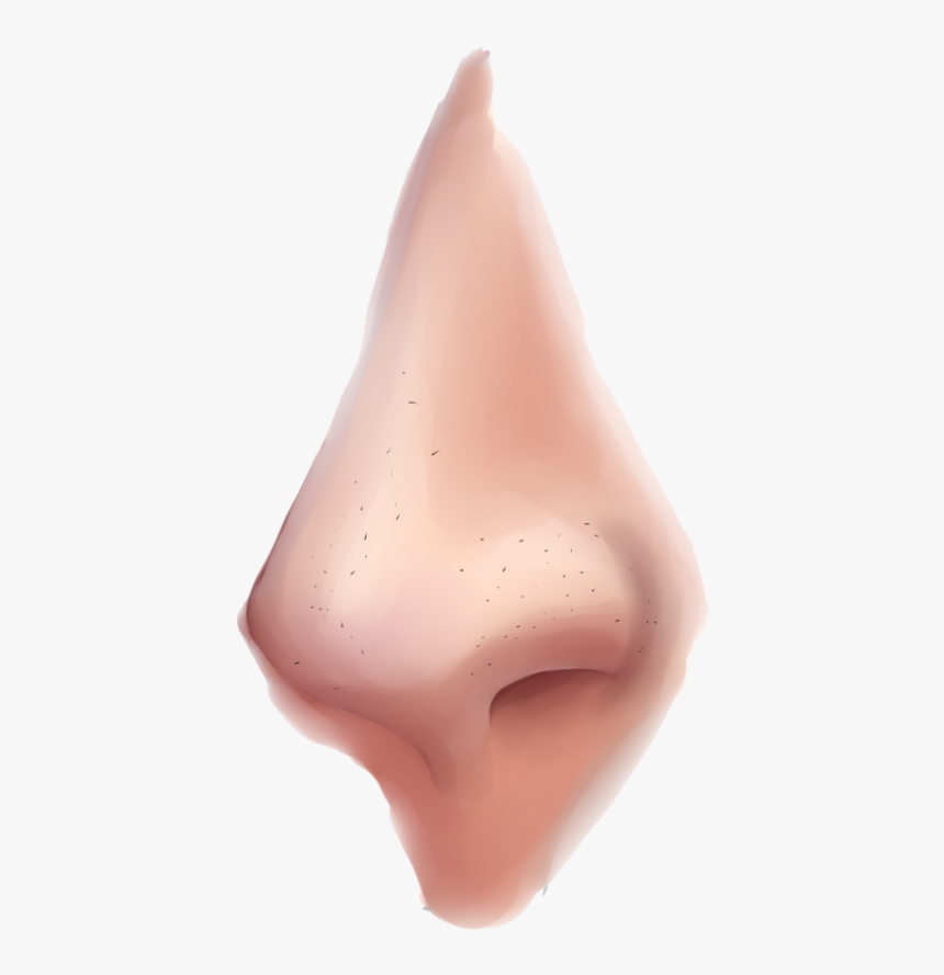 Transparent Nose Clip Art - Nose Png, Png Download, Free Download