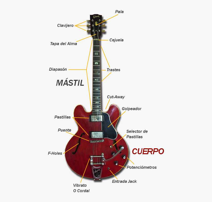 Partes De La Guitarra Eléctrica - Partes De La Guitarra De Jazz, HD Png Download, Free Download