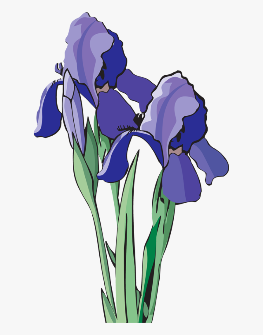 Flowering Family,eye,petal,orris Root,cut Flowers,tulip,clip - Volunteer State Book Award, HD Png Download, Free Download