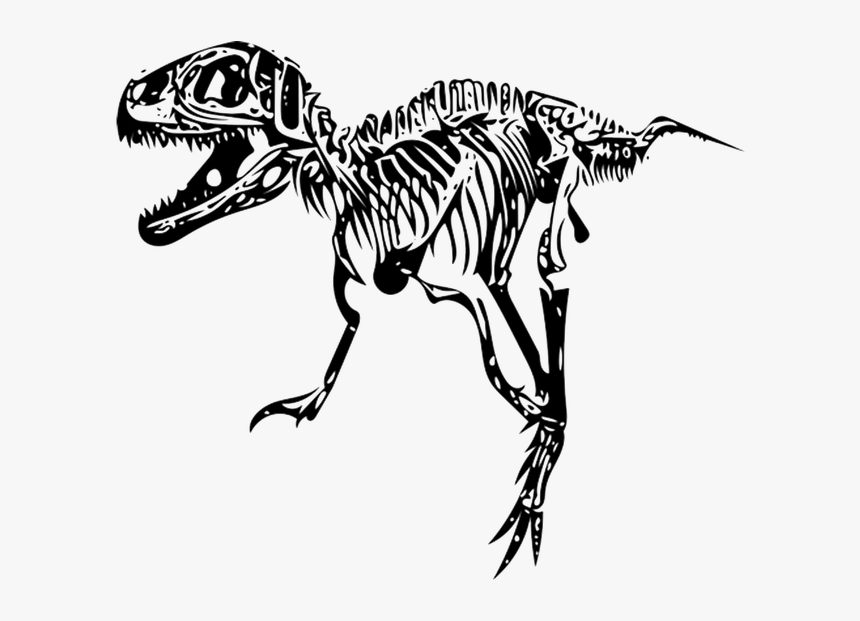 Tyrannosaurus, T-rex, Fossil - T Rex Fossil Png, Transparent Png, Free Download