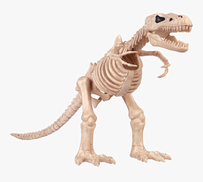 Halloween T Rex Skeleton, HD Png Download, Free Download