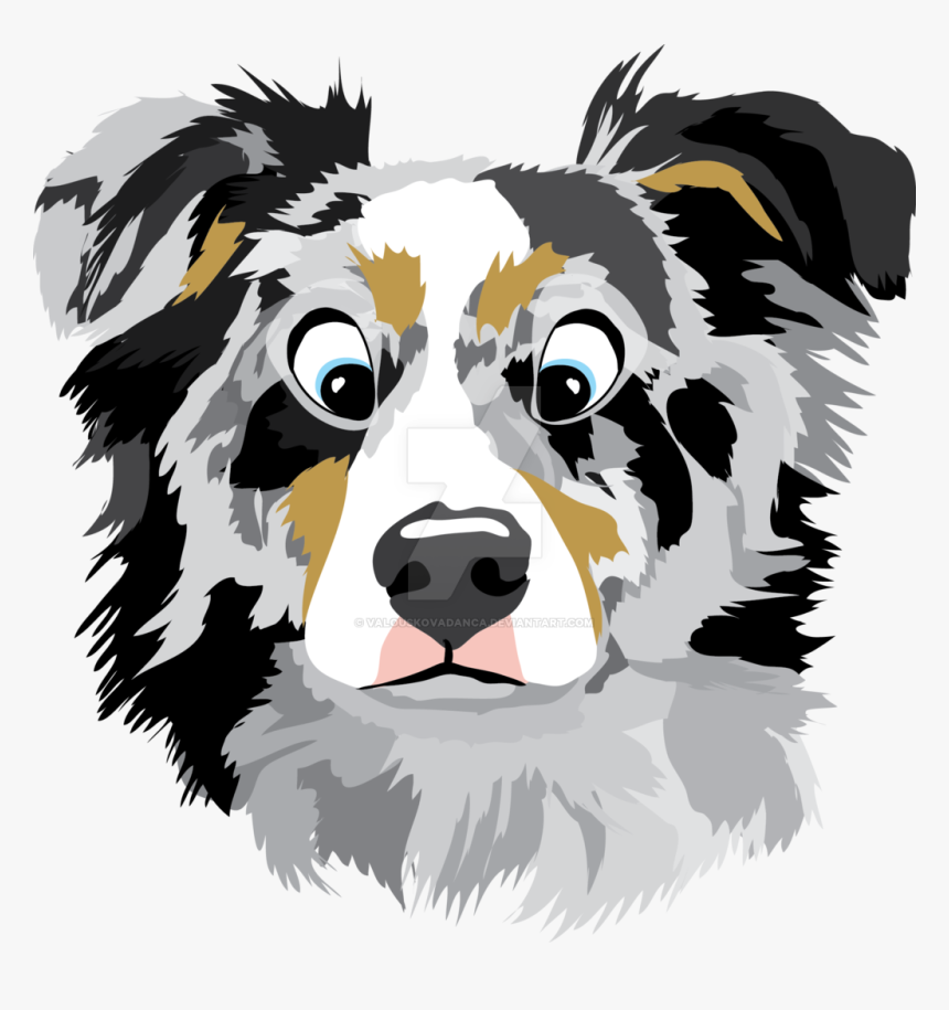 Border Collie Australian Shepherd Bernese Mountain - Australian Shepherd Face Png, Transparent Png, Free Download