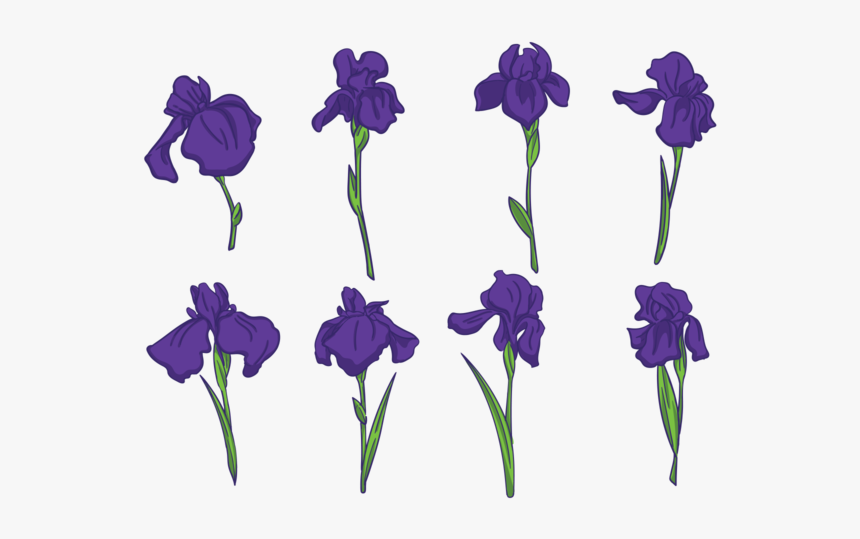 Violet-family - Iris Flower Free Vector, HD Png Download, Free Download