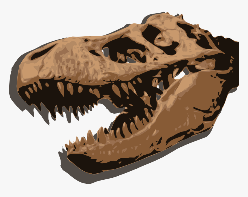 Transparent Tyrannosaurus Rex Png - Fossil Meaning In Urdu, Png Download, Free Download