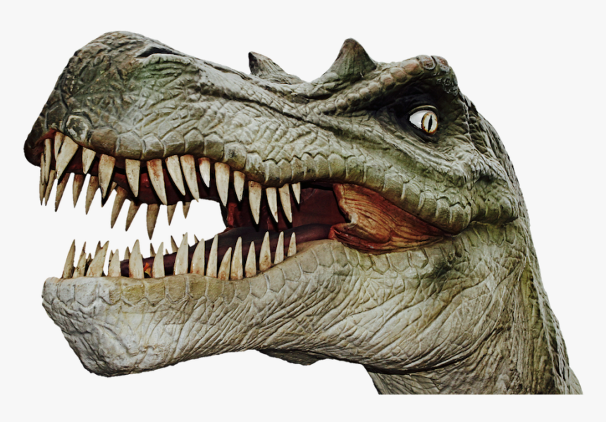 T Rex Skeleton Png, Transparent Png, Free Download