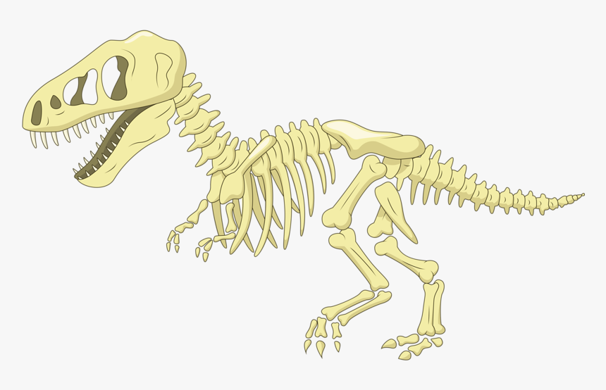 Bone Clip Art Fossil Transprent - Dinosaur Bones Clipart, HD Png Download, Free Download