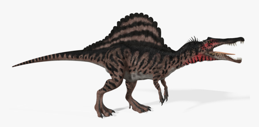 Transparent Spinosaurus Clipart - Spinosaurus Aegyptiacus, HD Png Download, Free Download