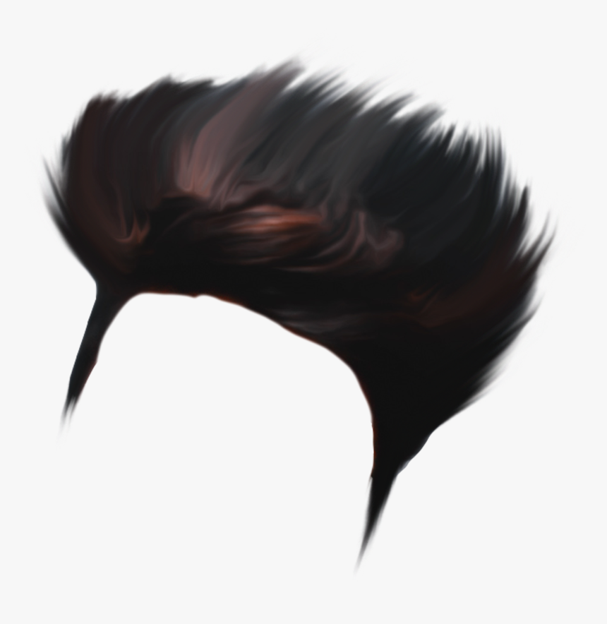 Best Hair Png Hd, Transparent Png, Free Download