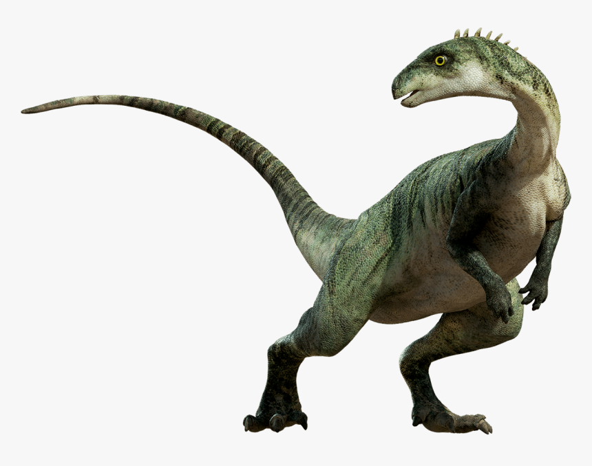 Dinosaur Standing - Dinosaur Png, Transparent Png, Free Download