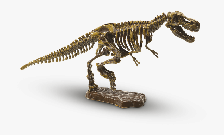 T Rex Kostra, HD Png Download, Free Download