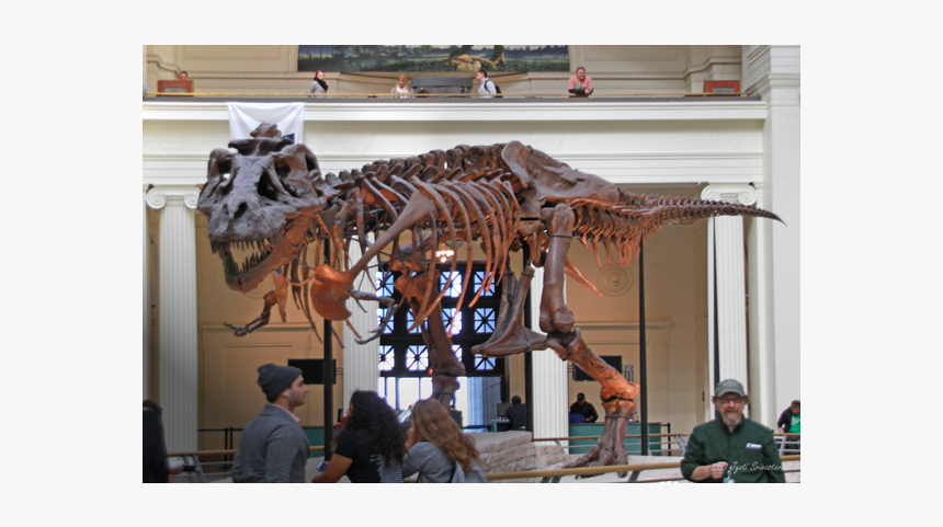 Field Museum Of Natural History, HD Png Download, Free Download