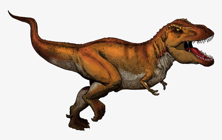 Transparent Velociraptor Clipart - Informacion Del T Rex En Ingles, HD Png Download, Free Download