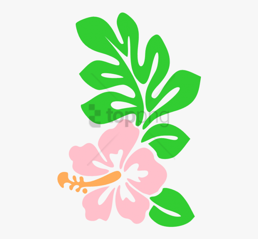 Free Png Hawaii Flower Cartoon Draw Hawaiian Flowers - Cartoon Hawaii Flower Drawing, Transparent Png, Free Download