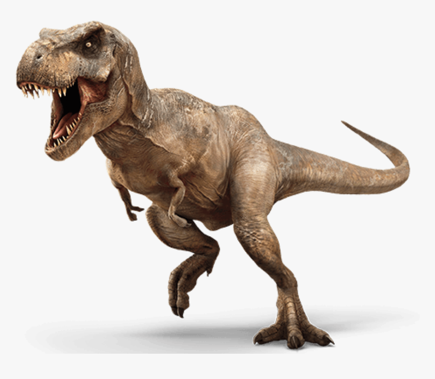 Tyrannosaurus Rex Triceratops Dinosaur Velociraptor - Jurassic World Png, Transparent Png, Free Download