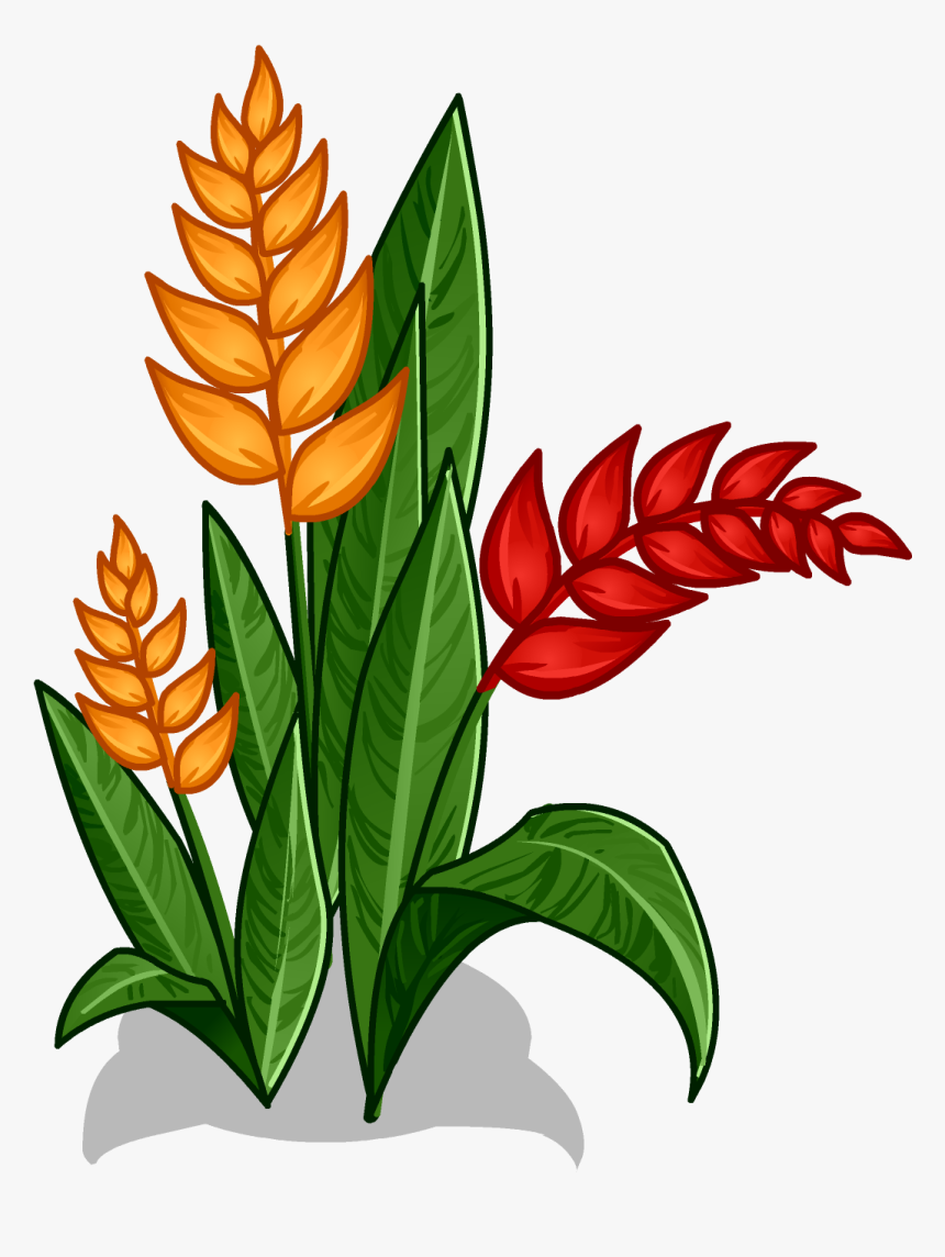 Rainforest Flowers Clipart At Getdrawings - Amazon Rainforest Plants
