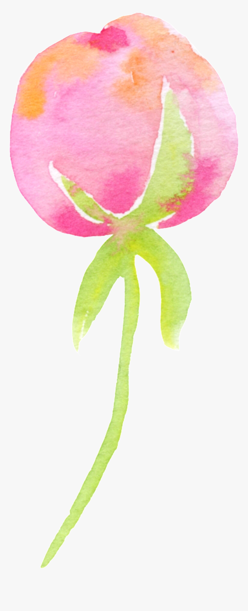 A Bunch Of Flowers Cartoon Transparent - Prickly Rose, HD Png Download, Free Download