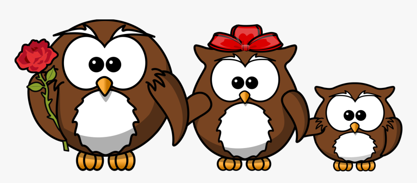 Owl,wildlife,snout - Animal Family Clipart, HD Png Download, Free Download