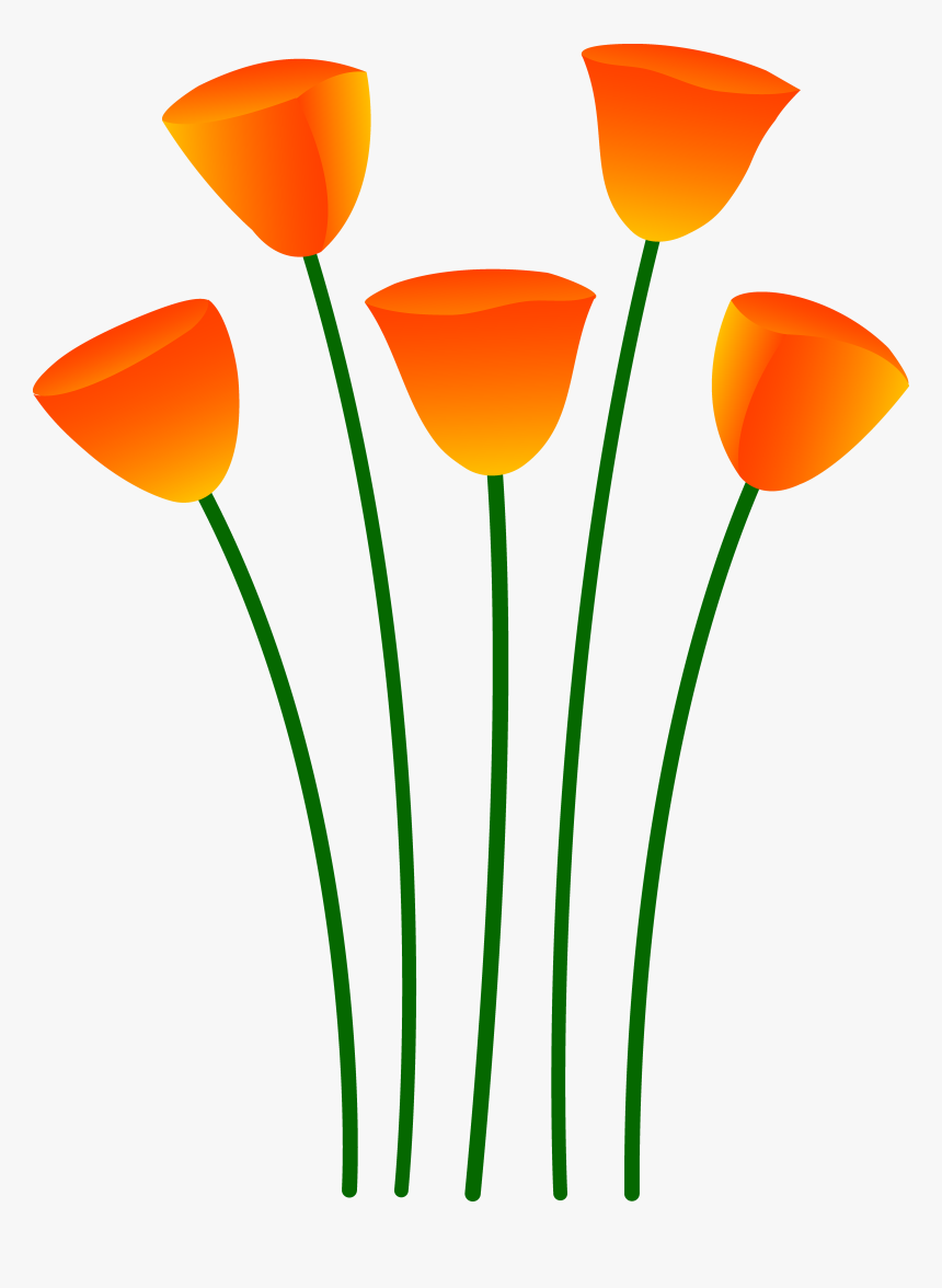 Poppy Clipart 5 Flower - California Poppy Clipart, HD Png Download, Free Download