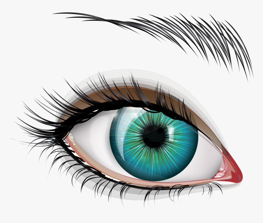 Eyelash, HD Png Download, Free Download