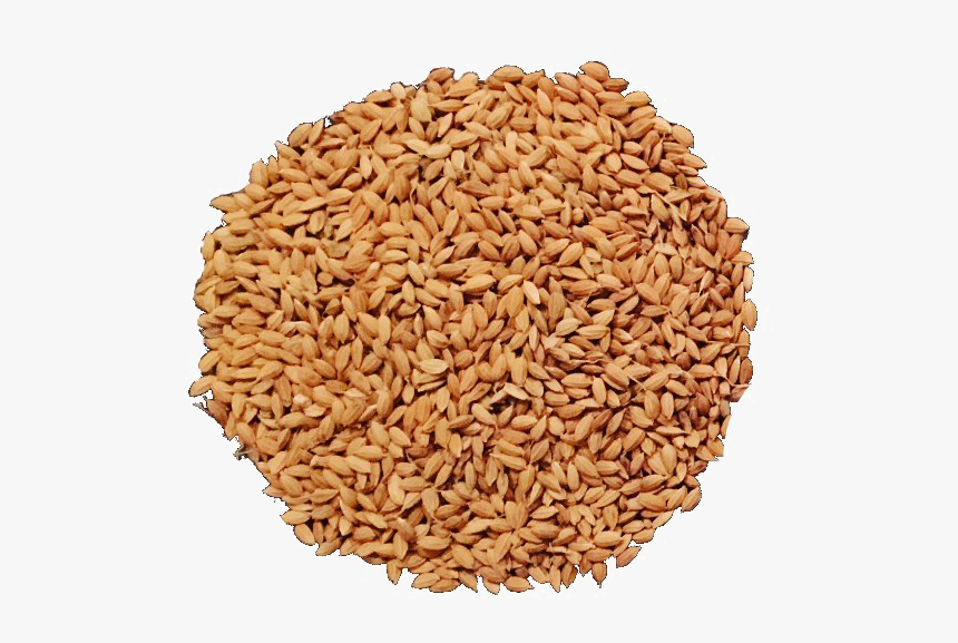 Food,whole Grain,brown Rice,grass - Brown Rice Png, Transparent Png, Free Download