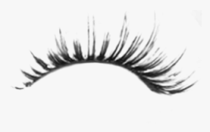 Eyelash Png - Brush Bulu Mata Photoshop, Transparent Png, Free Download