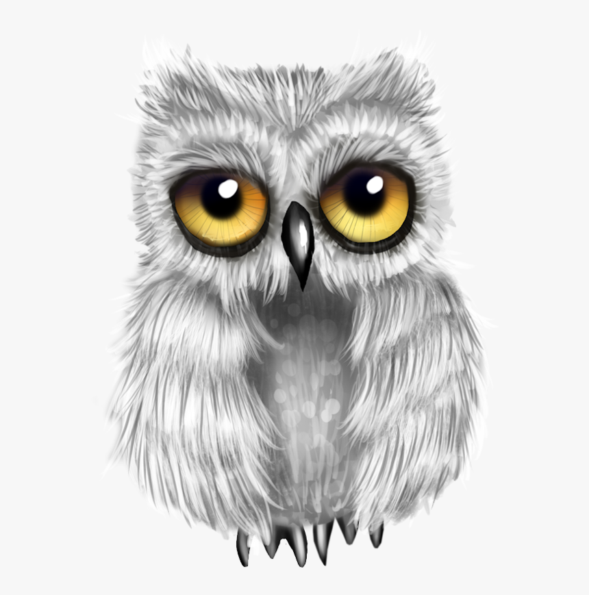 Owls Png, Transparent Png, Free Download