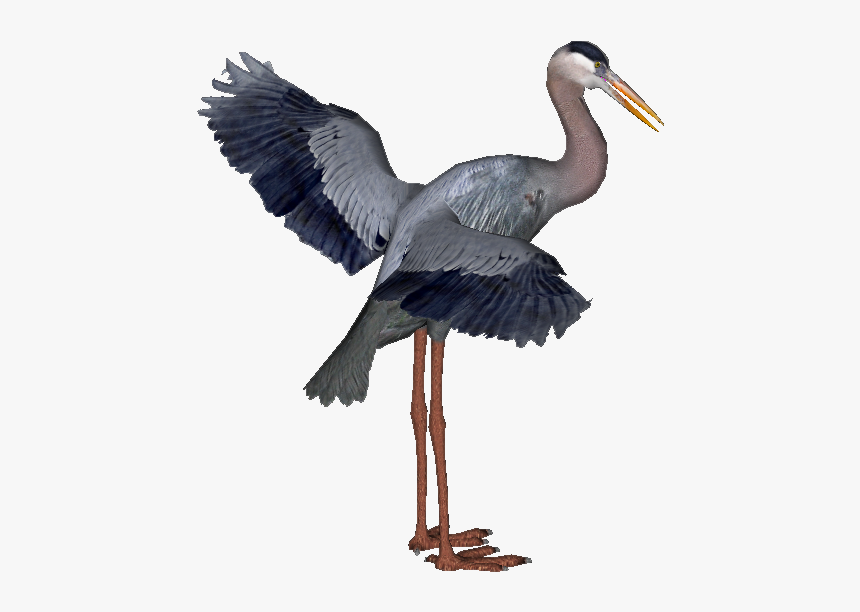 Download Heron Png Hd For Designing Projects - Blue Heron Png, Transparent Png, Free Download
