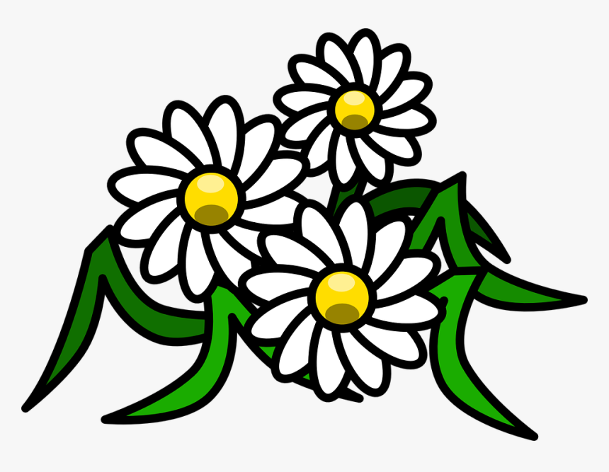 Flowers Daisy White Floral Blossom Bloom Beauty - White Flower Clip Art, HD Png Download, Free Download